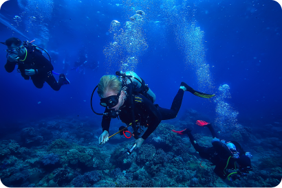 Bodrum Diving - Dalış Turları
